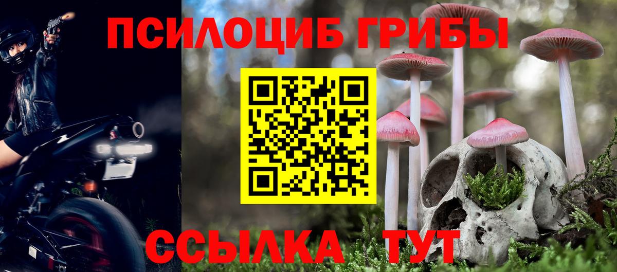 Галлюциногенные грибы Psilocybine cubensis Октябрьский